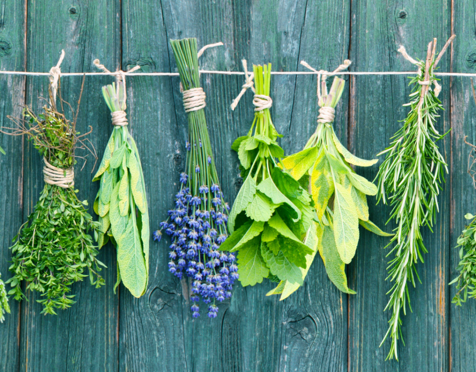 herbs that help you sleep